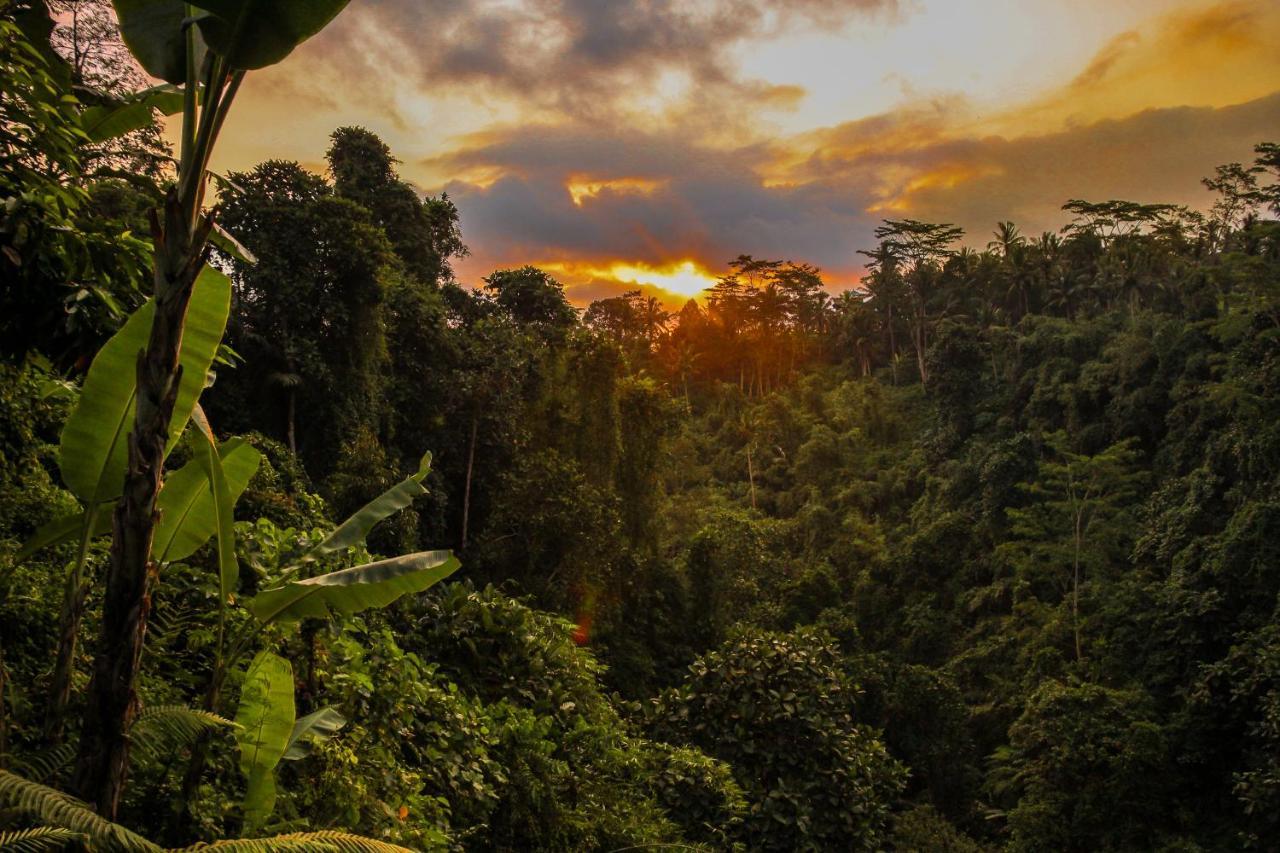 Villa Kalisat Resort Ubud  Ngoại thất bức ảnh